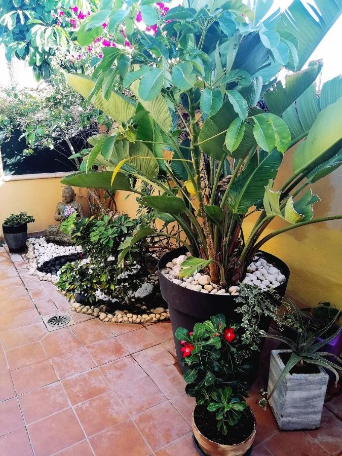Vivienda Vacacional Vaiana Las Rosas  Exterior photo